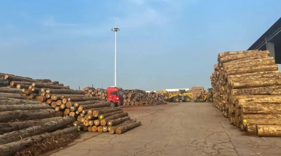 1752823123323881.png 1752823914870.png